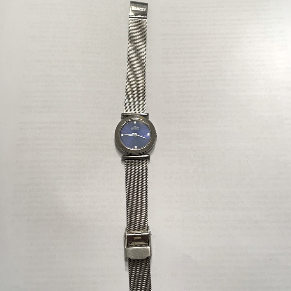 Skagen Watch
